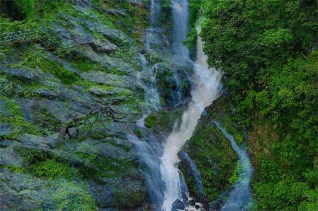 清凉夏日冰淇淋